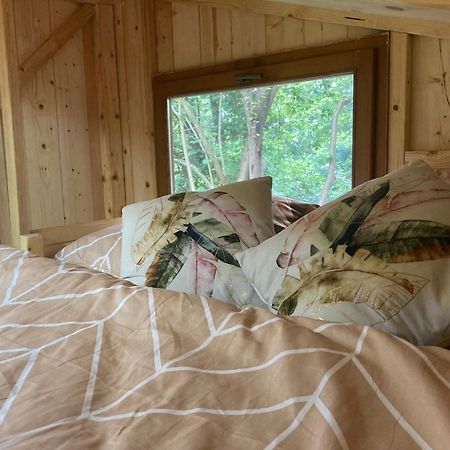 Tiny Resort Chotevice 1 Kottwitz Eksteriør billede